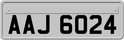 AAJ6024