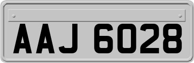 AAJ6028