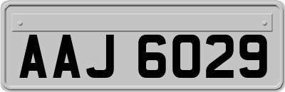 AAJ6029