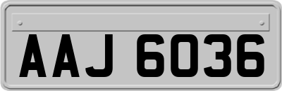 AAJ6036