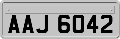 AAJ6042