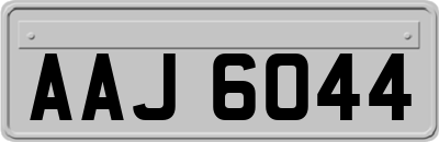 AAJ6044