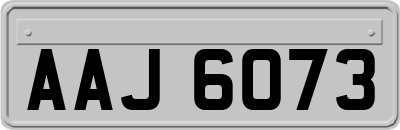 AAJ6073