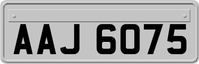 AAJ6075