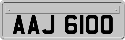 AAJ6100