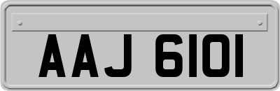 AAJ6101