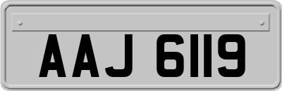 AAJ6119