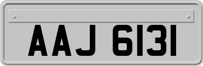 AAJ6131