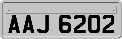 AAJ6202