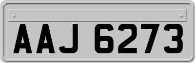 AAJ6273