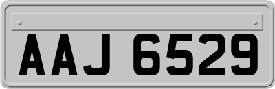 AAJ6529