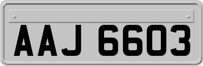 AAJ6603