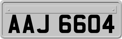 AAJ6604