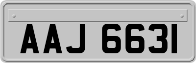 AAJ6631