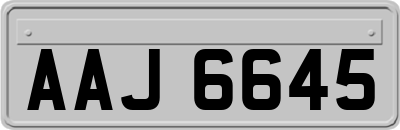 AAJ6645