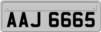 AAJ6665