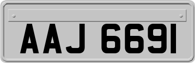 AAJ6691