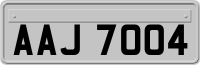 AAJ7004