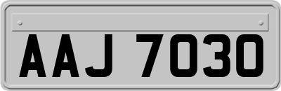 AAJ7030