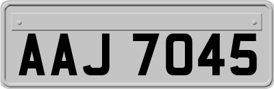 AAJ7045