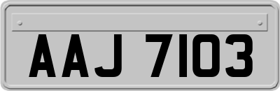 AAJ7103