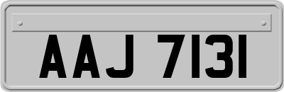 AAJ7131