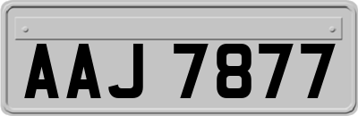 AAJ7877