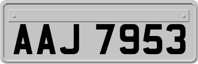 AAJ7953