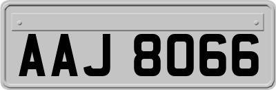 AAJ8066