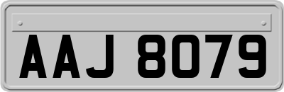 AAJ8079