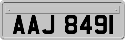 AAJ8491