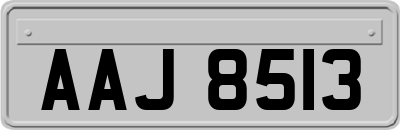 AAJ8513