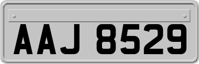 AAJ8529