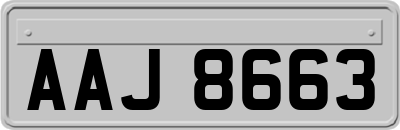 AAJ8663