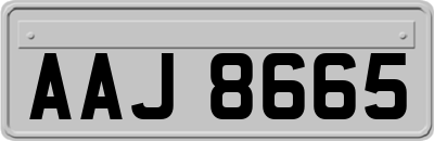 AAJ8665