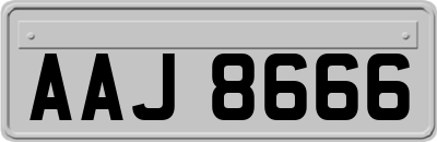 AAJ8666