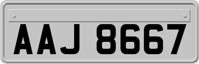 AAJ8667