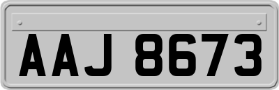 AAJ8673