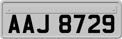 AAJ8729