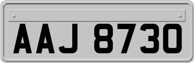 AAJ8730