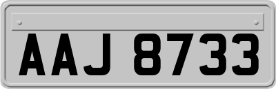 AAJ8733