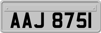 AAJ8751