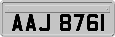 AAJ8761