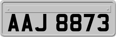 AAJ8873