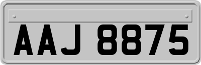 AAJ8875