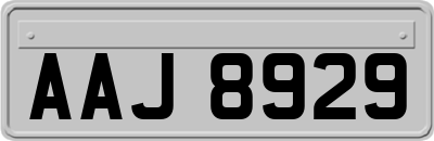 AAJ8929