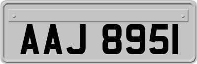 AAJ8951