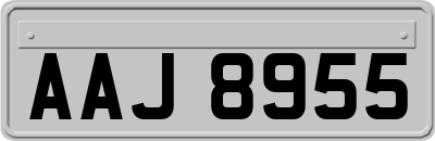 AAJ8955