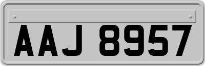 AAJ8957