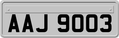 AAJ9003